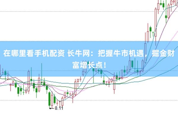 在哪里看手机配资 长牛网:把握牛市机遇,掘金财富增长点!