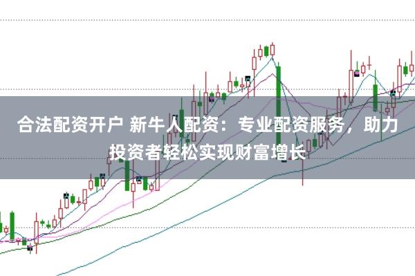合法配资开户 新牛人配资：专业配资服务，助力投资者轻松实现财富增长