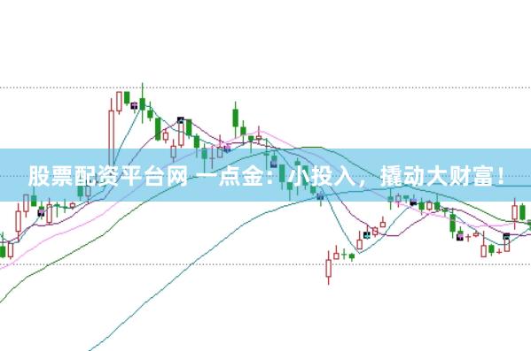 股票配资平台网 一点金:小投入,撬动大财富!