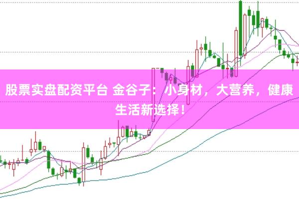 股票实盘配资平台 金谷子:小身材,大营养,健康生活新选择!