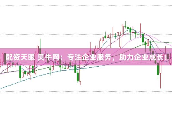 配资天眼 贝牛网：专注企业服务，助力企业成长！