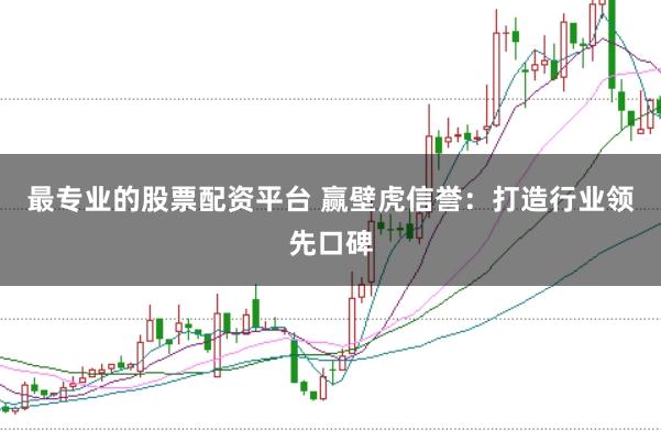 最专业的股票配资平台 赢壁虎信誉：打造行业领先口碑