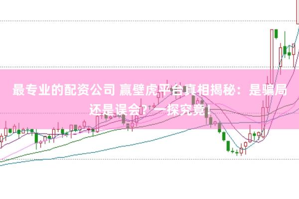 最专业的配资公司 赢壁虎平台真相揭秘：是骗局还是误会？一探究竟！