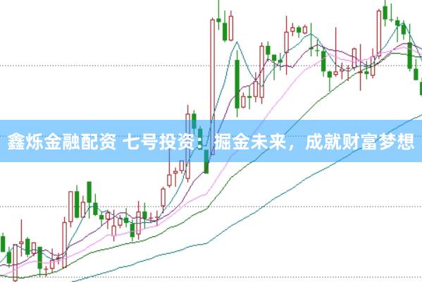 鑫烁金融配资 七号投资：掘金未来，成就财富梦想