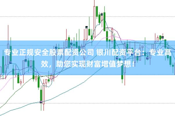 专业正规安全股票配资公司 银川配资平台:专业高效,助您实现财富增值梦想!