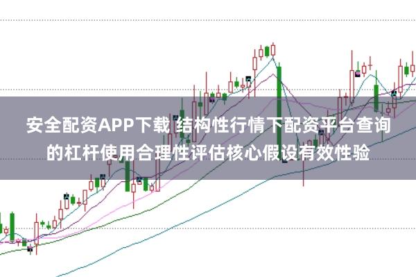 安全配资APP下载 结构性行情下配资平台查询的杠杆使用合理性评估核心假设有效性验