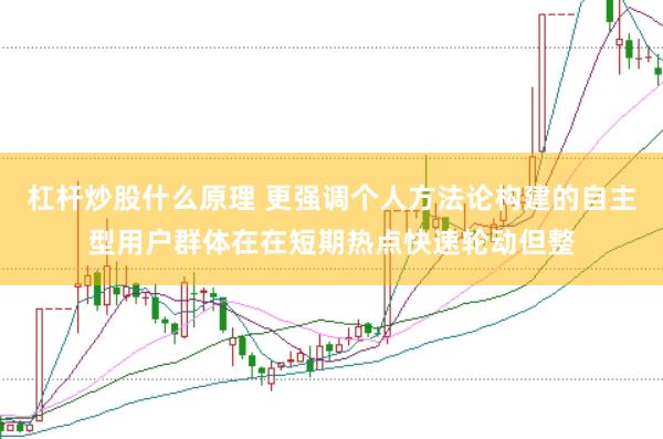杠杆炒股什么原理 更强调个人方法论构建的自主型用户群体在在短期热点快速轮动但整