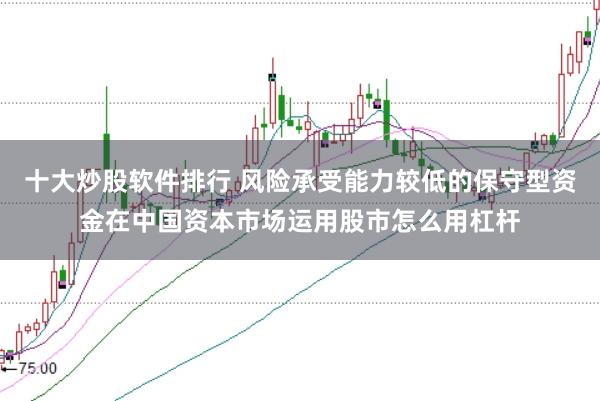 十大炒股软件排行 风险承受能力较低的保守型资金在中国资本市场运用股市怎么用杠杆