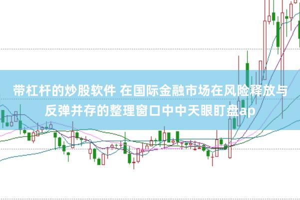 带杠杆的炒股软件 在国际金融市场在风险释放与反弹并存的整理窗口中中天眼盯盘ap