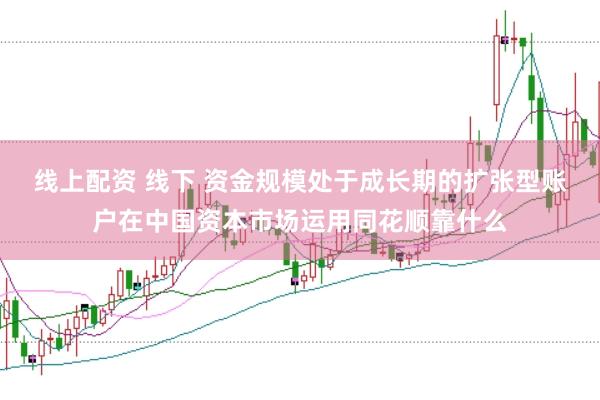 线上配资 线下 资金规模处于成长期的扩张型账户在中国资本市场运用同花顺靠什么