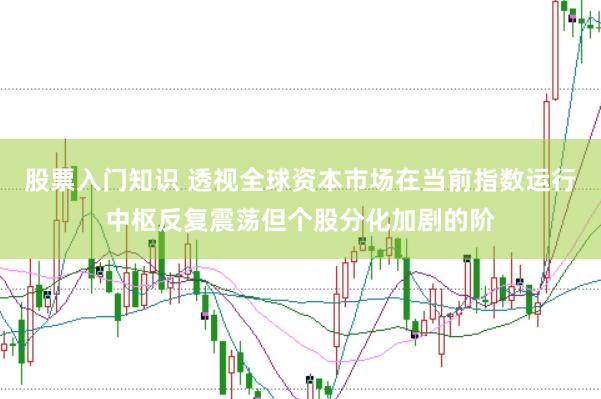 股票入门知识 透视全球资本市场在当前指数运行中枢反复震荡但个股分化加剧的阶