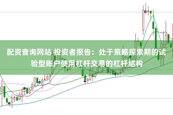 配资查询网站 投资者报告：处于策略探索期的试验型账户使用杠杆交易的杠杆结构