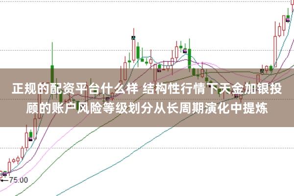 正规的配资平台什么样 结构性行情下天金加银投顾的账户风险等级划分从长周期演化中提炼