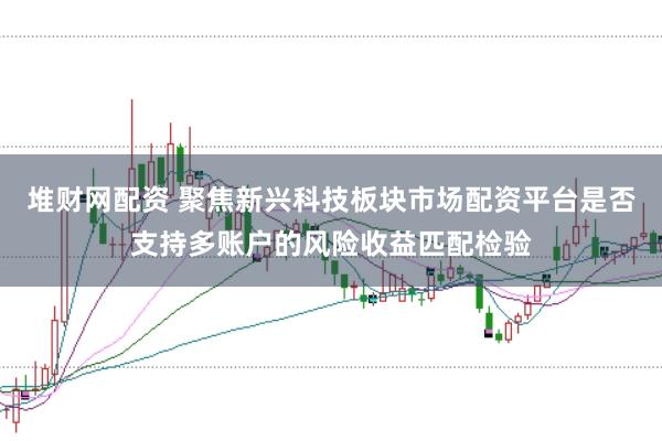 堆财网配资 聚焦新兴科技板块市场配资平台是否支持多账户的风险收益匹配检验