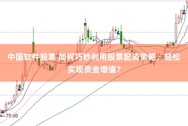 中国软件股票 如何巧妙利用股票配资策略，轻松实现资金增值？
