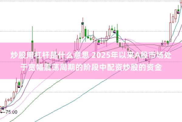炒股用杠杆是什么意思 2025年以来A股市场处于宽幅震荡周期的阶段中配资炒股的资金
