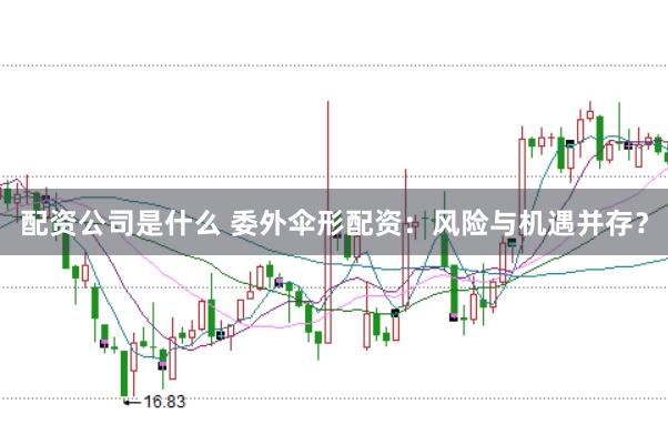 配资公司是什么 委外伞形配资：风险与机遇并存？