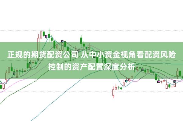 正规的期货配资公司 从中小资金视角看配资风险控制的资产配置深度分析