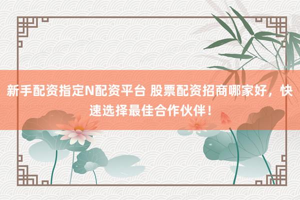 新手配资指定N配资平台 股票配资招商哪家好，快速选择最佳合作伙伴！