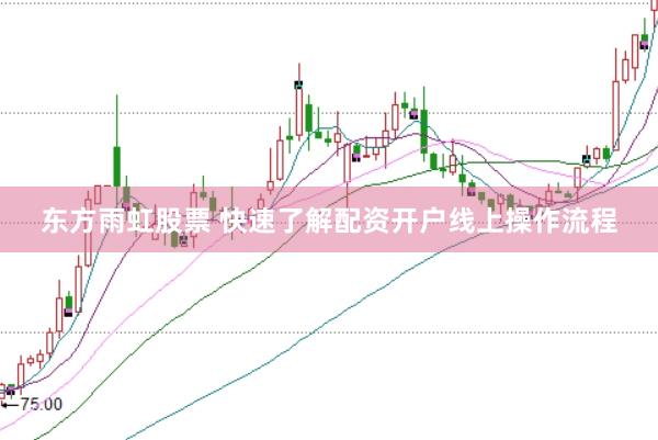 东方雨虹股票 快速了解配资开户线上操作流程