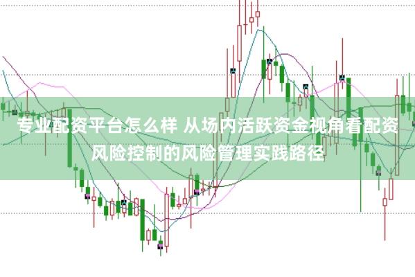 专业配资平台怎么样 从场内活跃资金视角看配资风险控制的风险管理实践路径