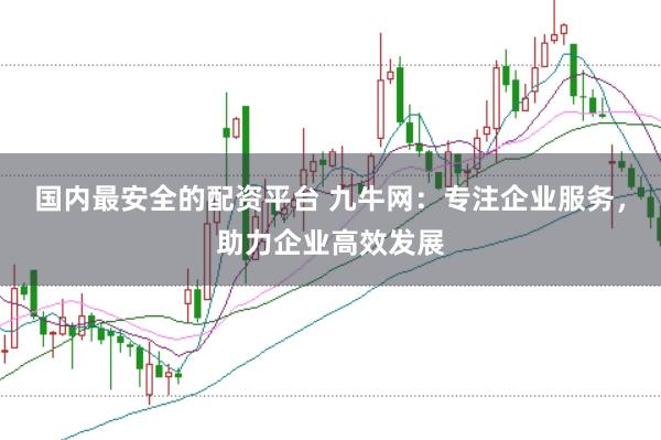 国内最安全的配资平台 九牛网：专注企业服务，助力企业高效发展