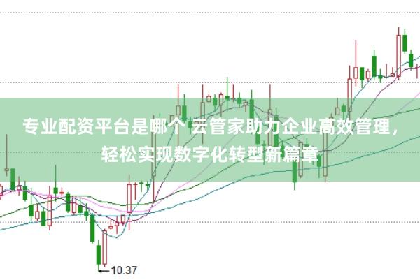 专业配资平台是哪个 云管家助力企业高效管理，轻松实现数字化转型新篇章