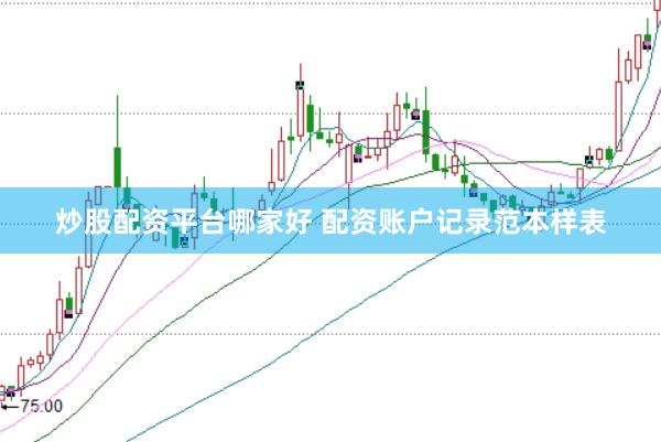 炒股配资平台哪家好 配资账户记录范本样表
